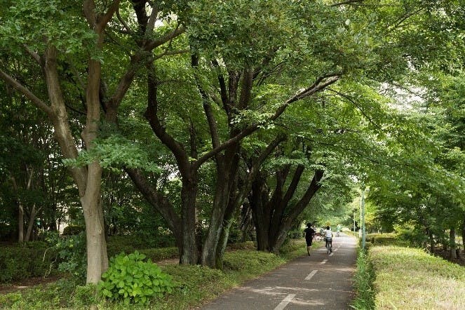 そんぽの家Ｓ武蔵野 小金井公園