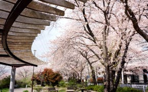 そんぽの家S戸塚 大谷第二公園