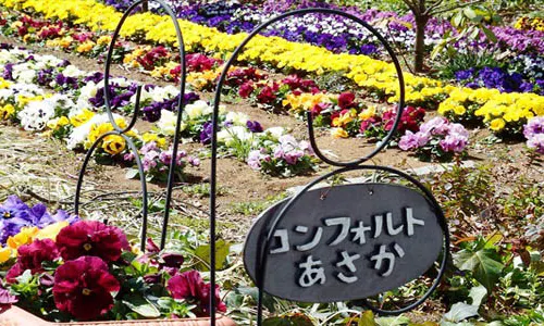 コンフォルト朝霞 コンフォルトガーデン