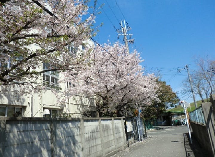 グループホームたのしい家木川東 お花見