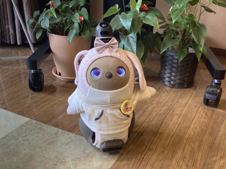 SOMPOケア ラヴィーレ二子玉川 ロボット
