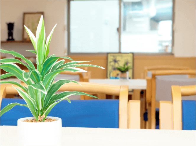 ルアナ インテリア