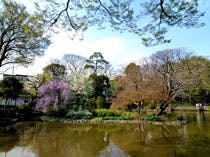 せらび有栖川 有栖川宮記念公園
