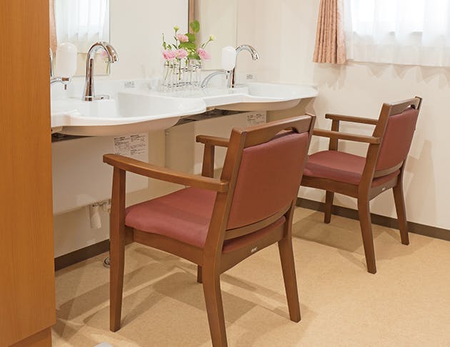 リアンレーヴ板橋蓮根 脱衣所