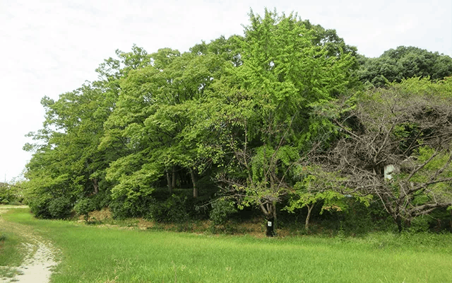 フィレンツェライフ青山 野中宮山児童公園