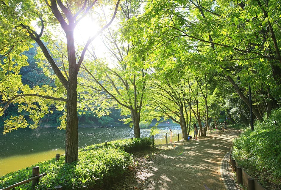 グッドタイムリビングセンター南 都筑中央公園