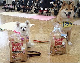エレガリオ神戸 ドッグセラピー