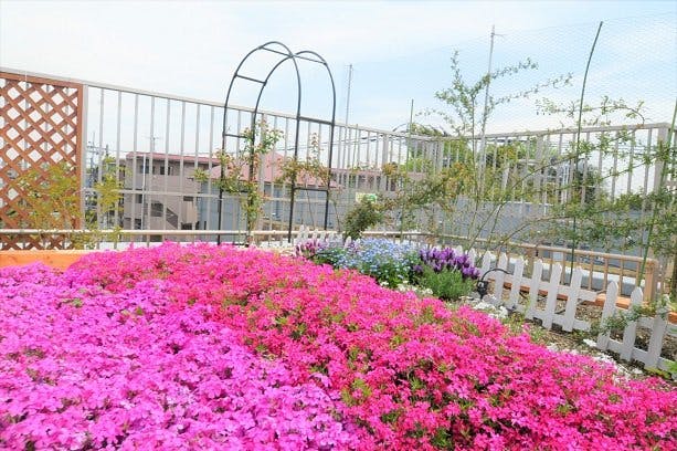 グランフォレスト氷川台 屋上庭園