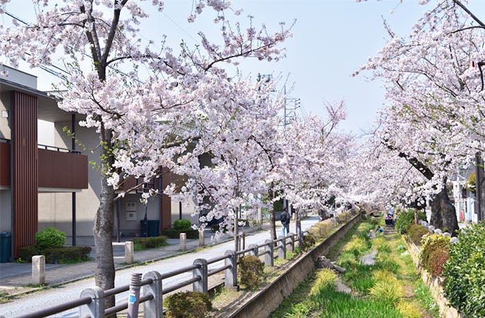 チャームプレミア深沢 呑川緑道