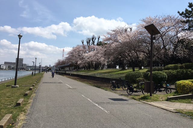 グランドマスト戸田公園 戸田桜づつみ