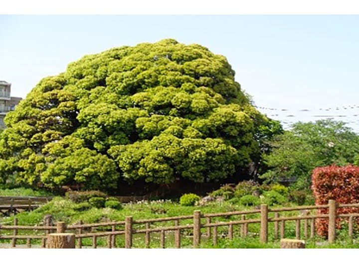 たのしい家 東浦和 ピクニック