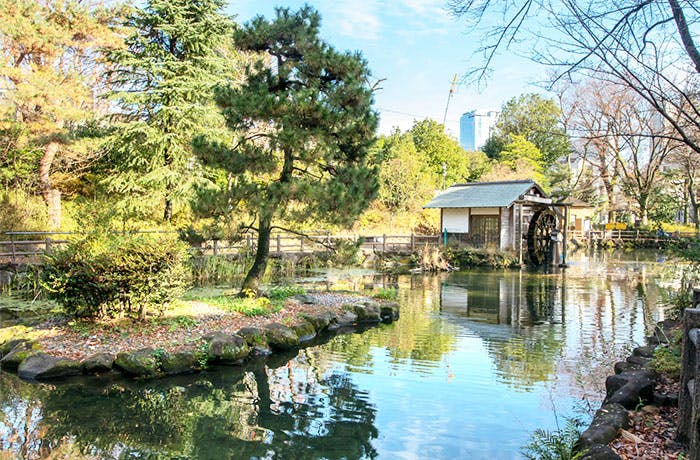 チャームプレミアグラン松濤 鍋島松濤公園