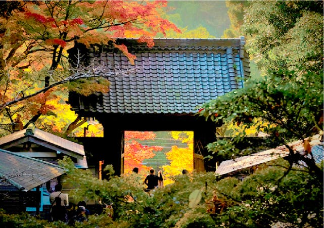 マストクレリアン鎌倉 円覚寺