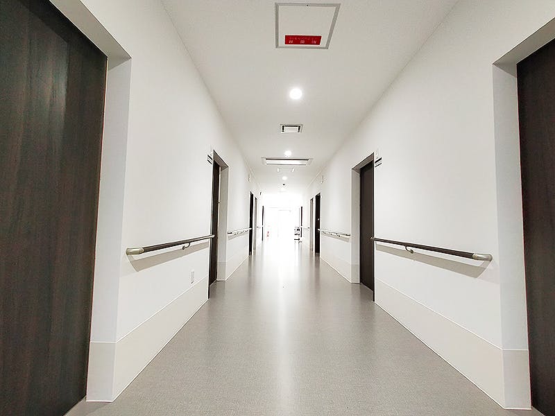 ハル日根野plum 廊下