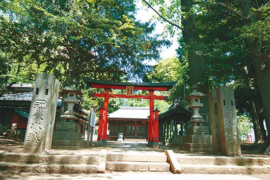 アズハイム南浦和 氷川神社