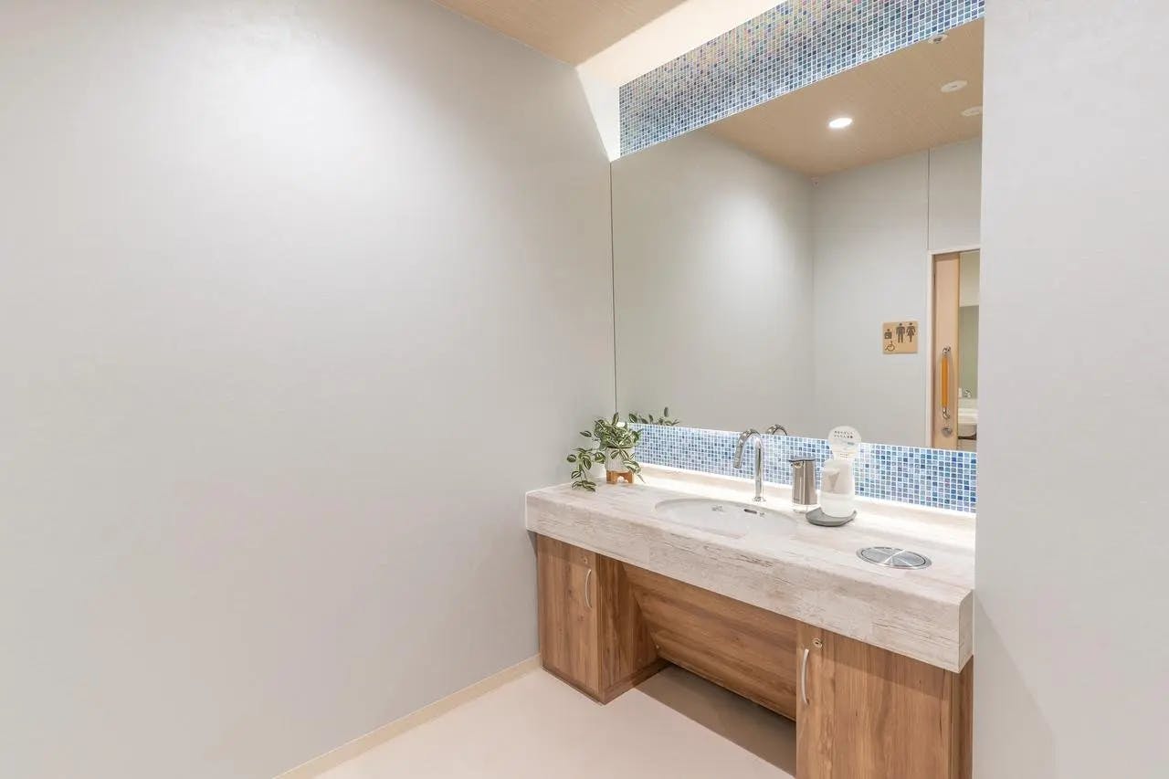 イリーゼ坂戸 洗面室