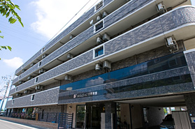 シルバービレッジ日野東館 外観