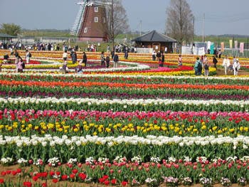 ベストライフ我孫子 あけぼの山公園