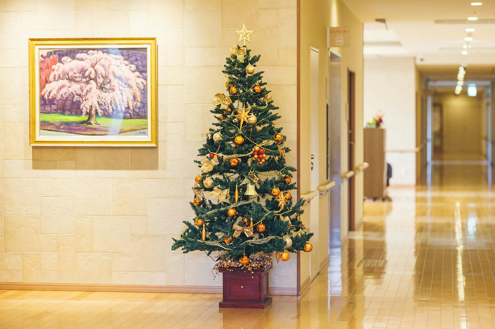 テラシス桜花 廊下