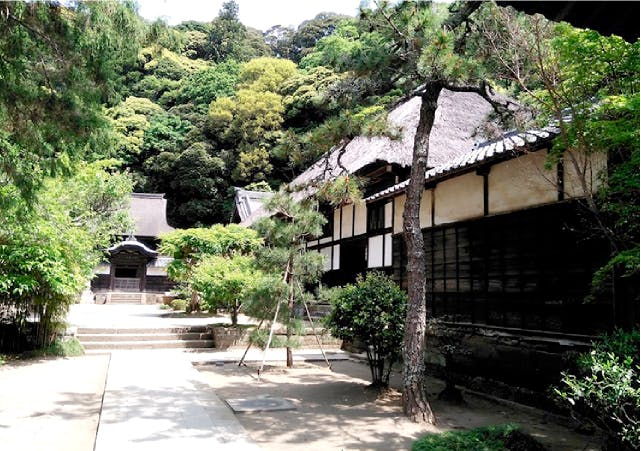 マストクレリアン鎌倉 東慶寺