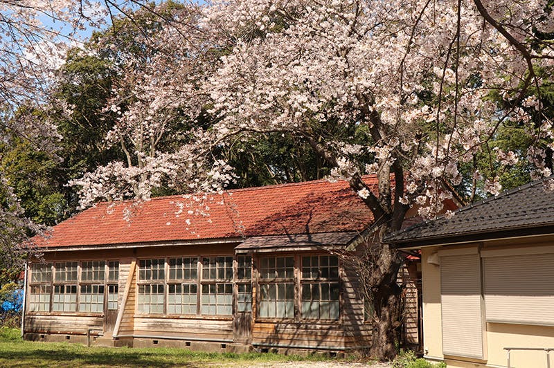 ミライアコート宮の杜 志津分校跡