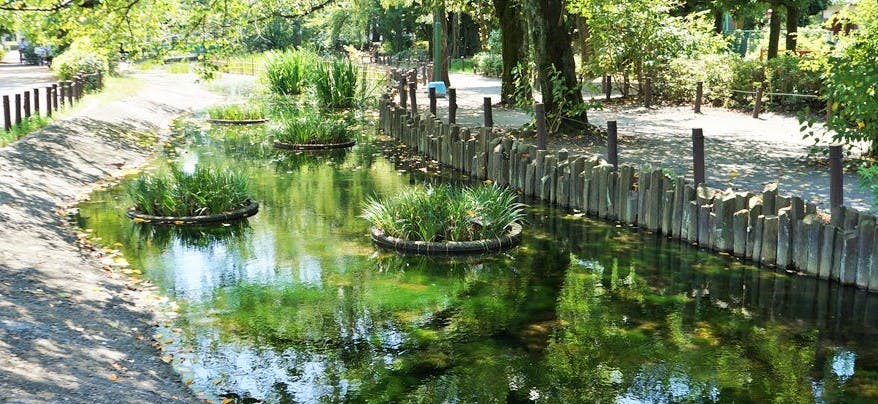 グループホームみんなの家・府中南町 新田川緑道