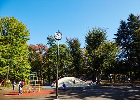 寿らいふときわ台 都立城北中央公園