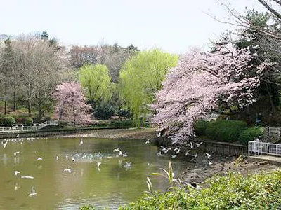 ウェルネスシップ三世 三ッ池公園