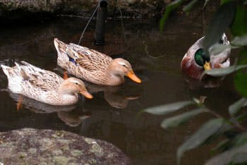 ベストライフ熱海 中庭
