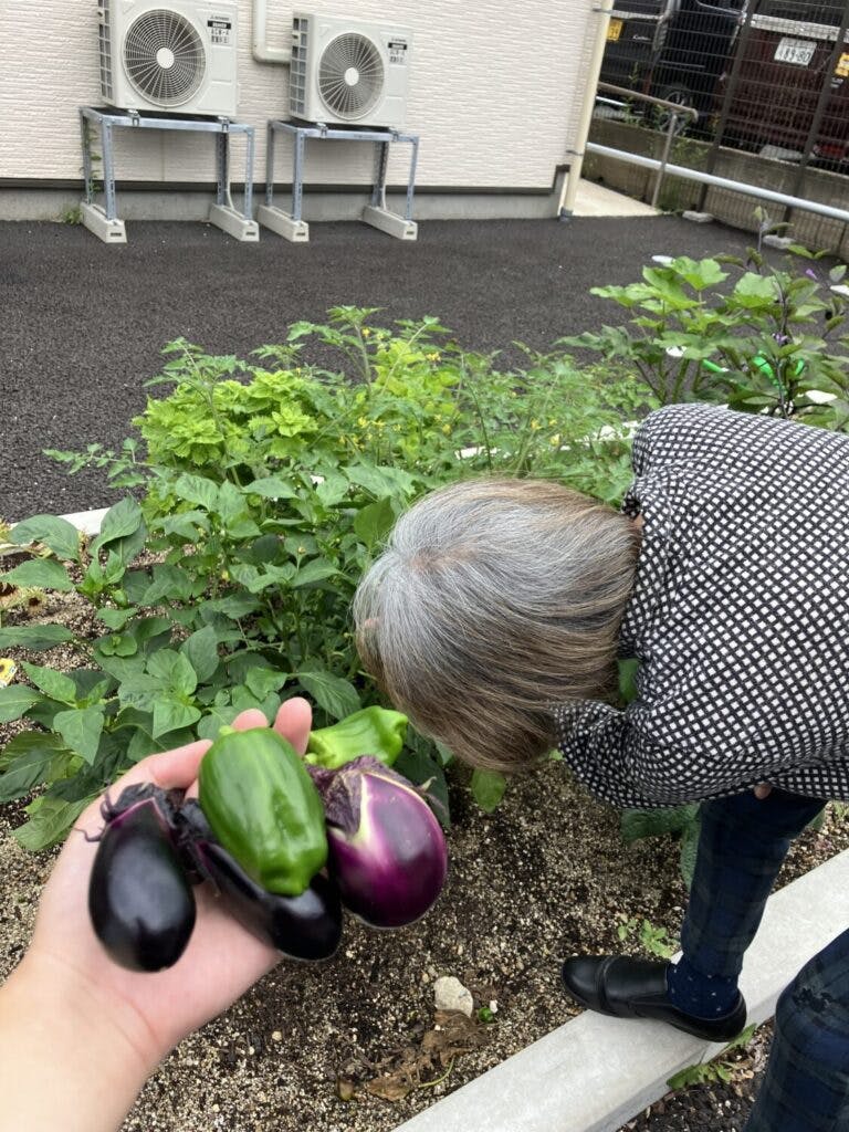 愛の家グループホーム山形前田町 野菜作り