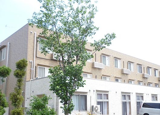 トミオ桶川べにばなテラス 外観