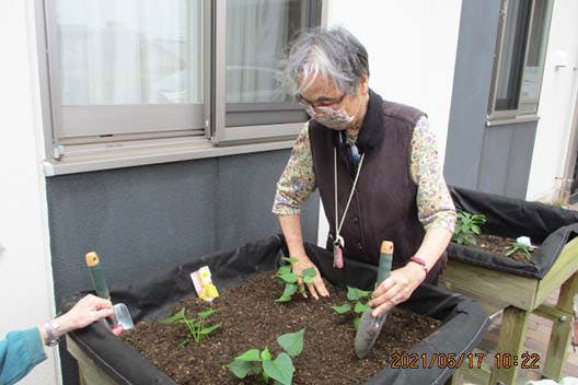 エイジフリーハウス千葉穴川 園芸