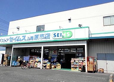ハーウィル上尾原市 ドラッグストア「セイムス」
