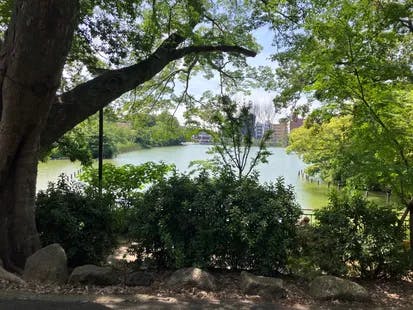 ココファンレイクヒルズ 洗足池公園