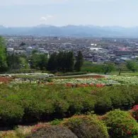 エバーグリーンシティ・寺岡 寒河江つつじ園