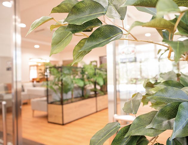 リアンレーヴ上板橋 エントランスホール