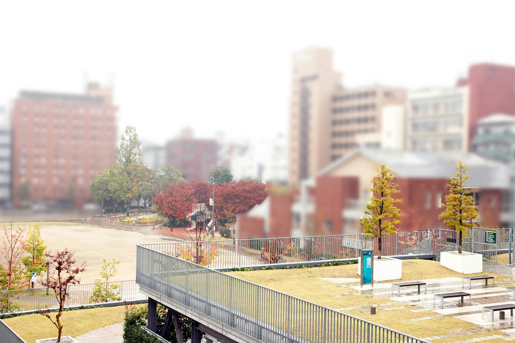 まどか西川緑道公園 4Fからの眺望