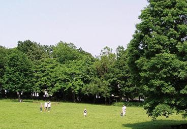 ツクイ・サンフォレスト横浜センター北 大塚・歳勝土遺跡公園
