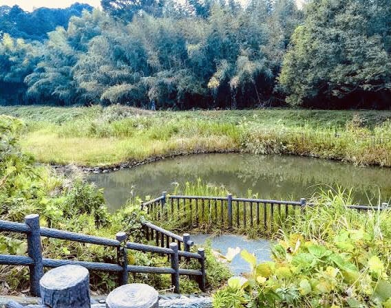 グループホームみんなの家・横浜三保 三保念珠坂公園