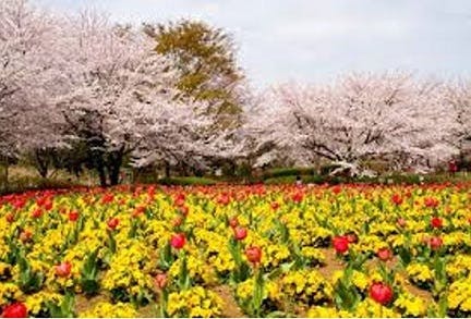ホームステーション らいふ指扇 大宮花の丘公園