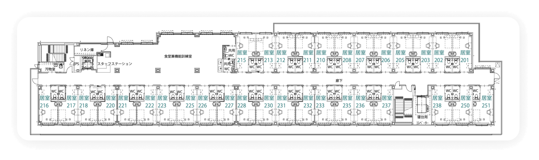 NEXT-LD新高円寺 間取図