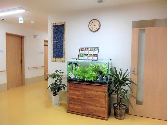 たなごころ竹城台 廊下
