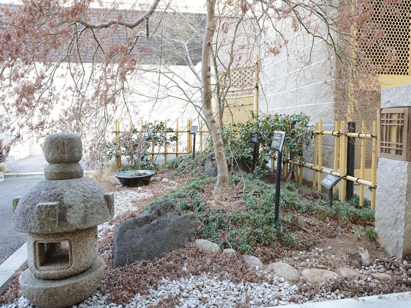 プレザンメゾン堀川今出川 庭