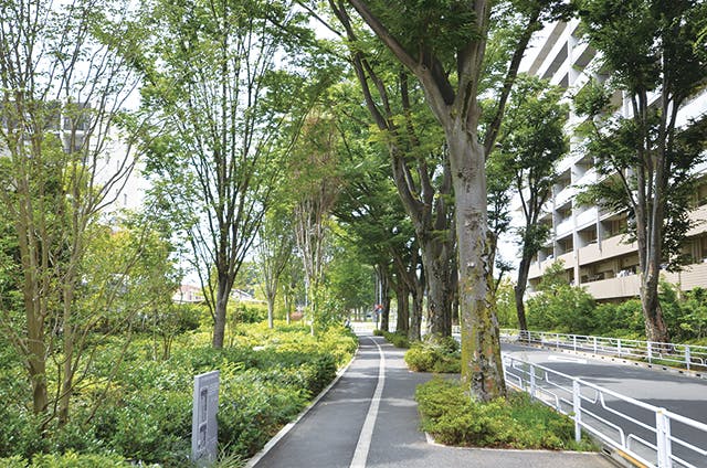 グランドマストひばりが丘南 けやき通り