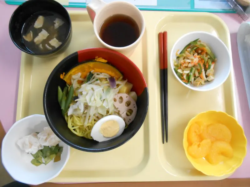 ようせいメディカルコート 通常食