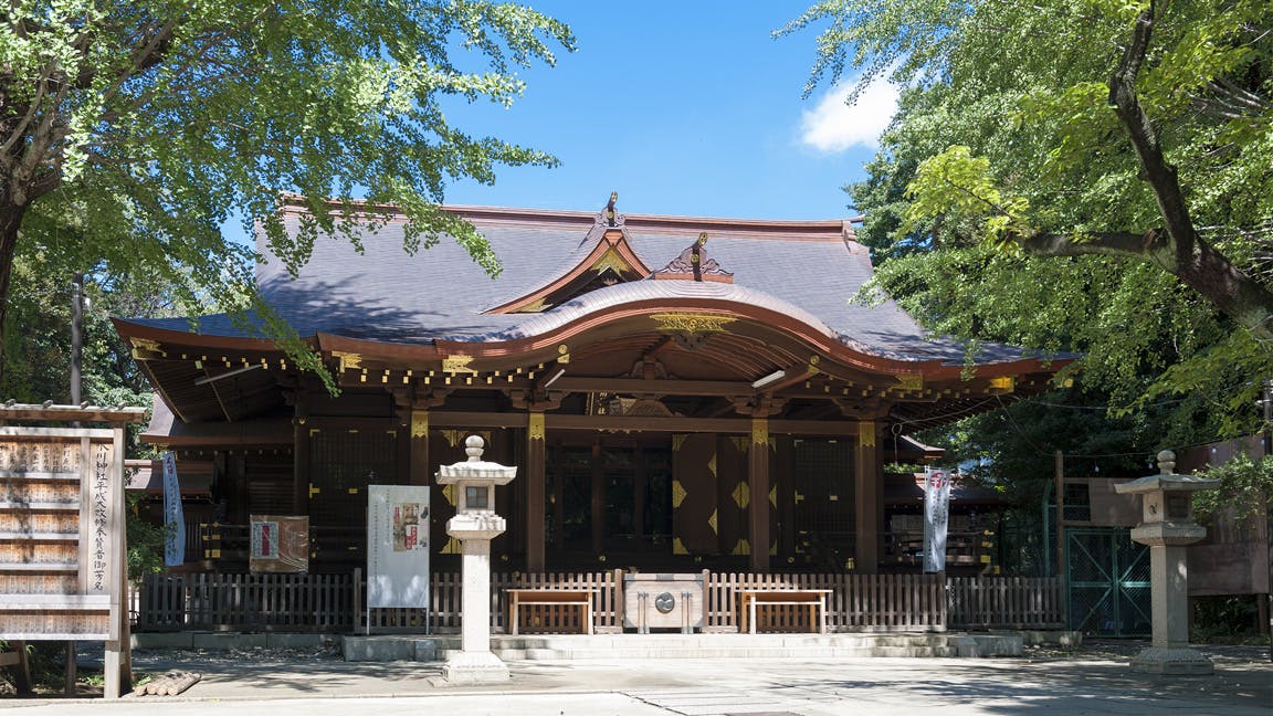 トラストガーデン常磐松 渋谷氷川神社