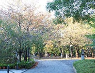 マストライフ古河庭園 飛鳥山公園