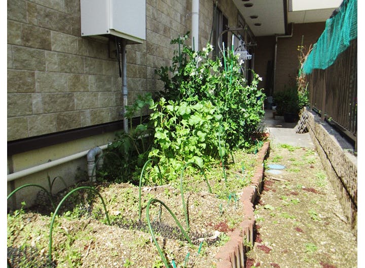 たのしい家八戸ノ里 菜園