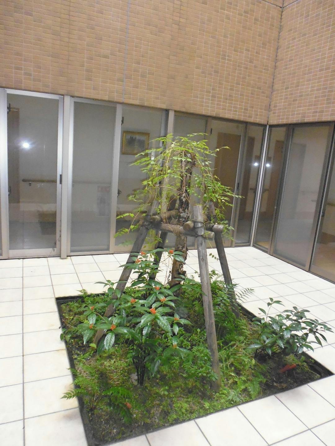 介護付有料老人ホームおだやかな園 内庭