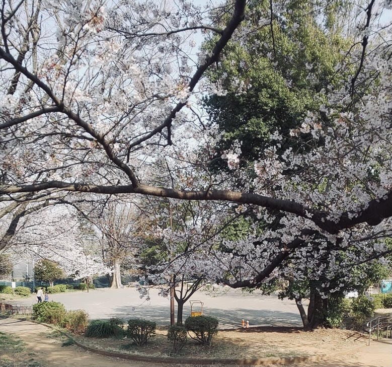 グループホームみんなの家・横浜今宿 今宿中沢公園